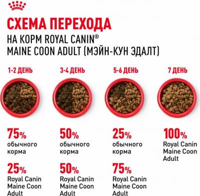 Корм для кошек Maine Coon 31 для породы Мэйн Кун, старше 15 месяцев сух. 400г – фото 18