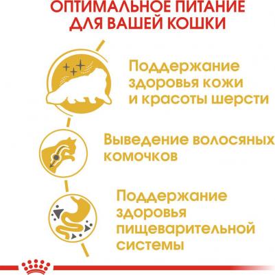 Корм для кошек Persian 30, вес 400 гр – фото 6