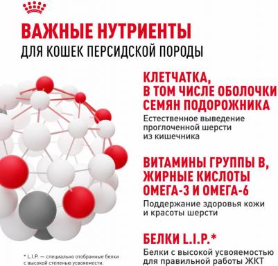 Корм для кошек Persian Adult для котов персидской породы от 12 месяцев 400 г – фото 17
