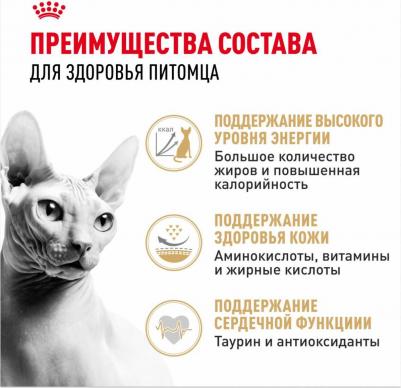 Корм для кошек Sphynx 33 для породы Сфинкс старше 12 месяцев сух. 400г – фото 5