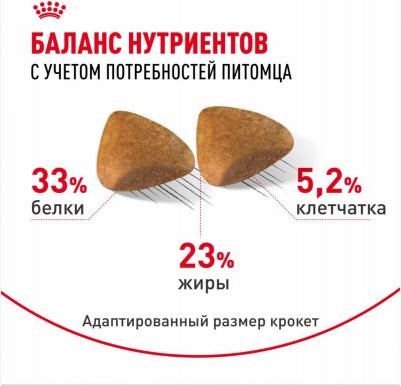 Корм для кошек Sphynx 33 для породы Сфинкс старше 12 месяцев сух. 400г – фото 6