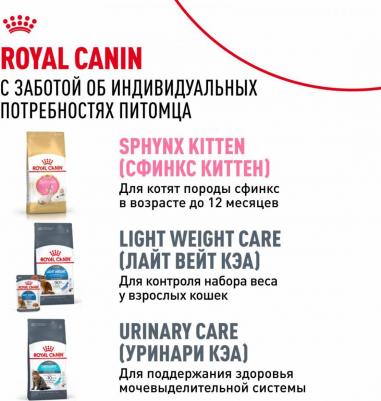 Корм для кошек Sphynx 33 для породы Сфинкс старше 12 месяцев сух. 400г – фото 12