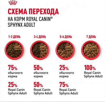 Корм для кошек Sphynx 33 для породы Сфинкс старше 12 месяцев сух. 400г – фото 14