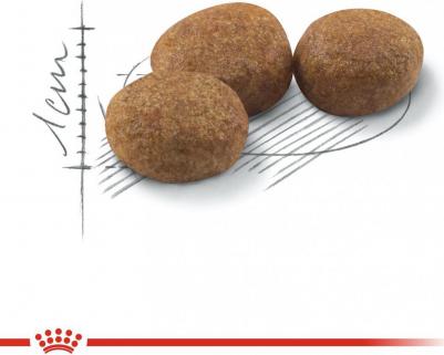 Корм для кошек Sterilised 37, вес 2 кг – фото 16