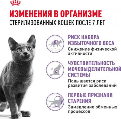 Корм для кошек Sterilised +7 для кастрированных и стерилизованных старше 7 сух.1,5кг – фото 11
