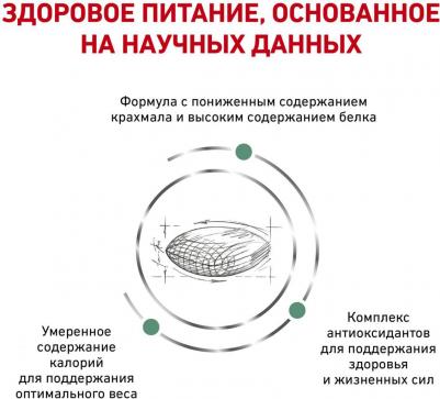 Корм для кошек Vet Diet Diabetic DS46 при сахарном диабете, птица сух. 1,5кг – фото 10
