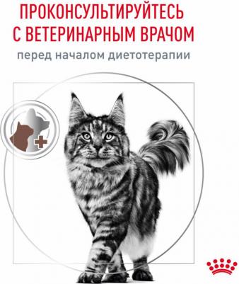 Корм для кошек Vet Diet Gastro Intestinal GI32 при нарушении пищеварения, птица сух. 2кг – фото 6