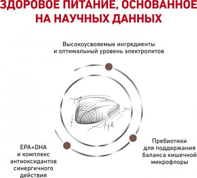 Корм для кошек Vet Diet Gastro Intestinal GI32 при нарушении пищеварения, птица сух. 2кг – фото 20