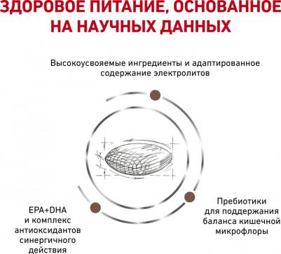 Корм для кошек Vet Diet Gastro Intestinal Hairball Control при нарушении пищеварения сух. 400г – фото 9