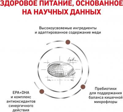 Корм для кошек Vet Diet Hepatic HF26 при заболеваниях печени, свинина сух. 500г – фото 3