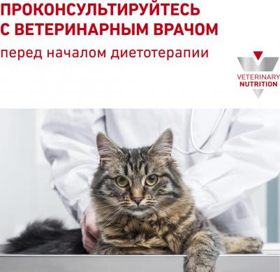 Корм для кошек Vet Diet Hepatic HF26 при заболеваниях печени, свинина сух. 500г – фото 7