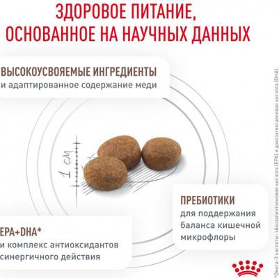 Корм для кошек Vet Diet Hepatic HF26 при заболеваниях печени, свинина сух. 500г – фото 12