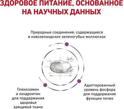 Корм для кошек Vet Diet Mobility MC28 при заболеваниях опорно-двигательн.аппарата сух. 2кг – фото 1