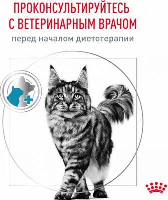 Корм для кошек Vet Diet Sensitivity Control при пищевой аллергии цыплёнок, рис пауч 85г – фото 15