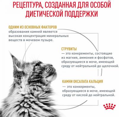Корм для кошек Vet Diet Urinary S/O LP34 при мочекаменной болезни, птица сух. 3,5кг – фото 1