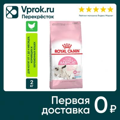 Корм для котят Babycat 34 от 1 до 4 месяцев 2кг – фото 3