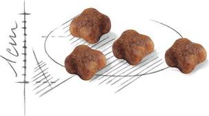 Корм для котят Babycat 34 от 1 до 4 месяцев 2кг – фото 10