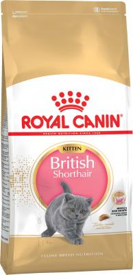 Корм для котят British Shorthair Adult для породы Британская короткошёрстная сух. 400г – фото 6