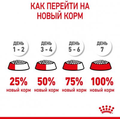 Корм для котят Kitten 36 от 4 до 12 месяцев сух. 400г – фото 3