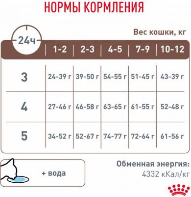 Корм для котят Kitten, при нарушениях пищеварения, 2 кг – фото 6