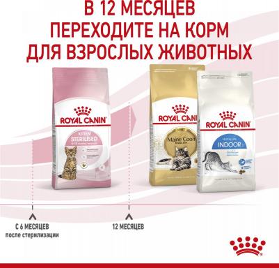 Корм для котят Kitten Sterilised для стерилизованных, птица сух. 2кг – фото 3