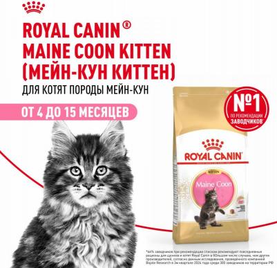 Корм для котят Maine Coon для породы Мейн Кун сух. 10кг – фото 1