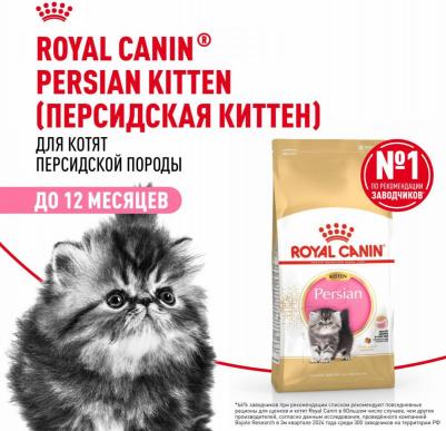 Корм для котят Persian 32 Kitten для Персидской породы, с 4 до 12 месяцев сух. 400г – фото 6