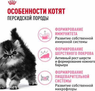 Корм для котят Persian 32 Kitten для Персидской породы, с 4 до 12 месяцев сух. 400г – фото 8