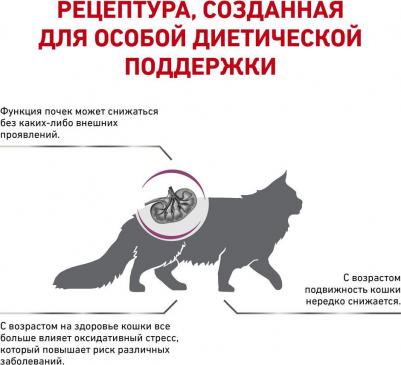 Корм сухой для кошек Ерли ренал – фото 4