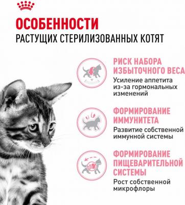 Корм сухой для котят Стерилайзд – фото 5