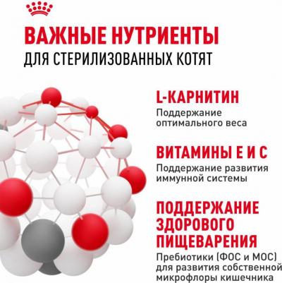 Корм сухой для котят Стерилайзд – фото 14