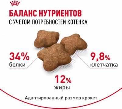 Корм сухой для котят Стерилайзд – фото 17