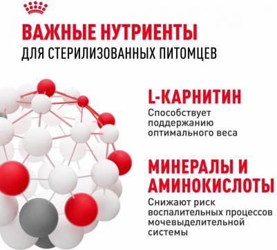 Корм сухой "Sterilised 37", для взрослых стерилизованных кошек, 10 кг – фото 9