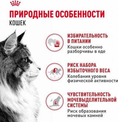 Корм влажный для кошек Instinctive, вес 85 гр – фото 16