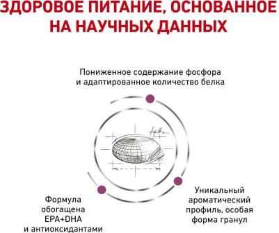 Renal корм сухой для кошек для поддержания функции почек – фото 1
