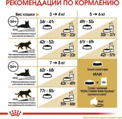 Сухой корм Adult British Shorthair для кошек британской короткошерстной породы 10 кг – фото 1