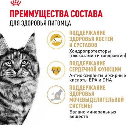 Сухой корм Adult Maine Coon для кошек породы мейн-кун 2кг (542020) – фото 6