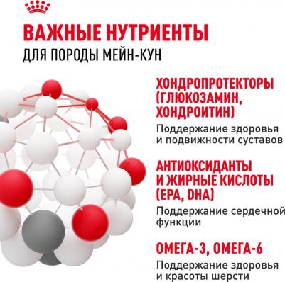 Сухой корм Adult Maine Coon для кошек породы мейн-кун 2кг (542020) – фото 20