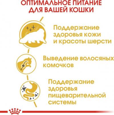 Сухой корм Adult Persian для кошек персидской породы 10кг (538100) – фото 2