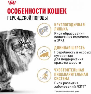 Сухой корм Adult Persian для кошек персидской породы 10кг (538100) – фото 3
