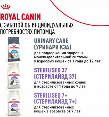 Сухой корм для кошек Ageing Sterilised 12+ 2 кг – фото 9