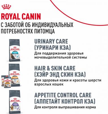 Сухой корм для кошек Bengal Adult 2 кг – фото 17