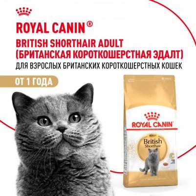 Сухой корм для кошек British Shorthair 34 4 кг – фото 6