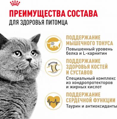 Сухой корм для кошек British Shorthair 34 4 кг – фото 5