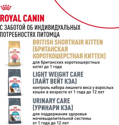 Сухой корм для кошек British Shorthair 34 4 кг – фото 8