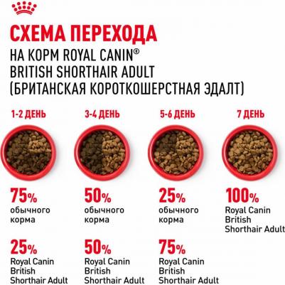 Сухой корм для кошек British Shorthair 34 4 кг – фото 10