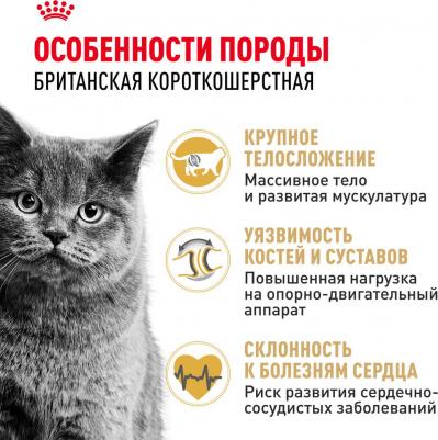 Сухой корм для кошек British Shorthair 34 4 кг – фото 11