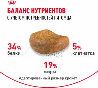 Сухой корм для кошек British Shorthair 34 4 кг – фото 14