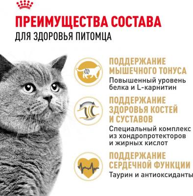 Сухой корм для кошек British Shorthair, британская, домашняя птица, 0,4кг – фото 12