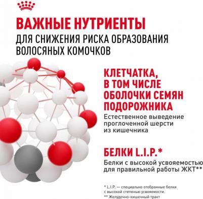 Сухой корм для кошек Hairball Care 2 кг – фото 5